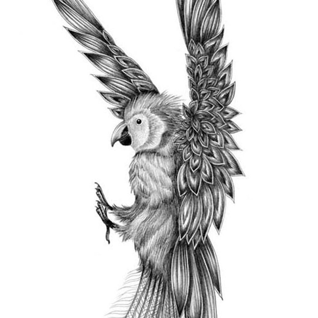 Amazona Cristatus Mini Print - Unframed