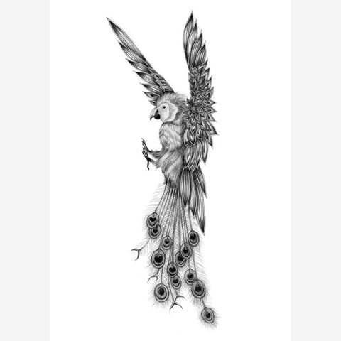 Amazona Cristatus Mini Print - White Frame