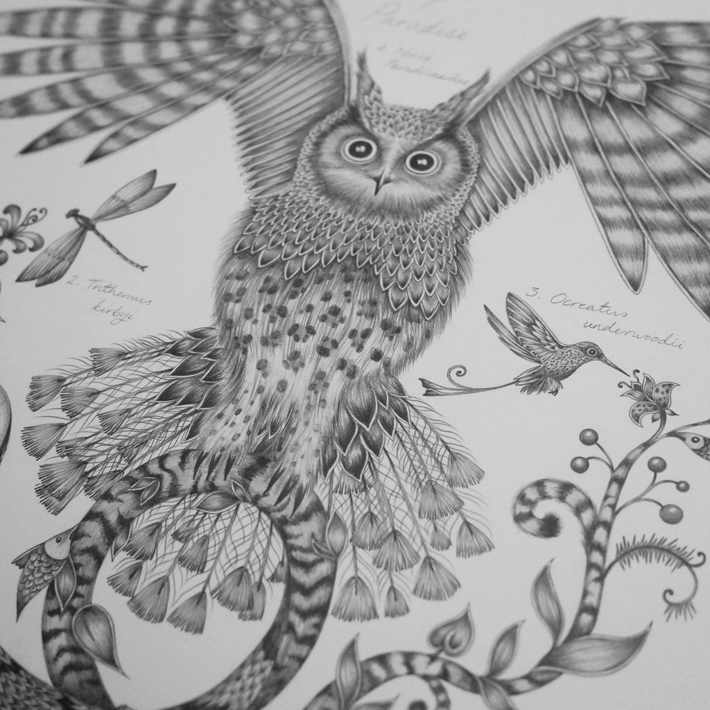 Owl of Paradise Wool Scarf