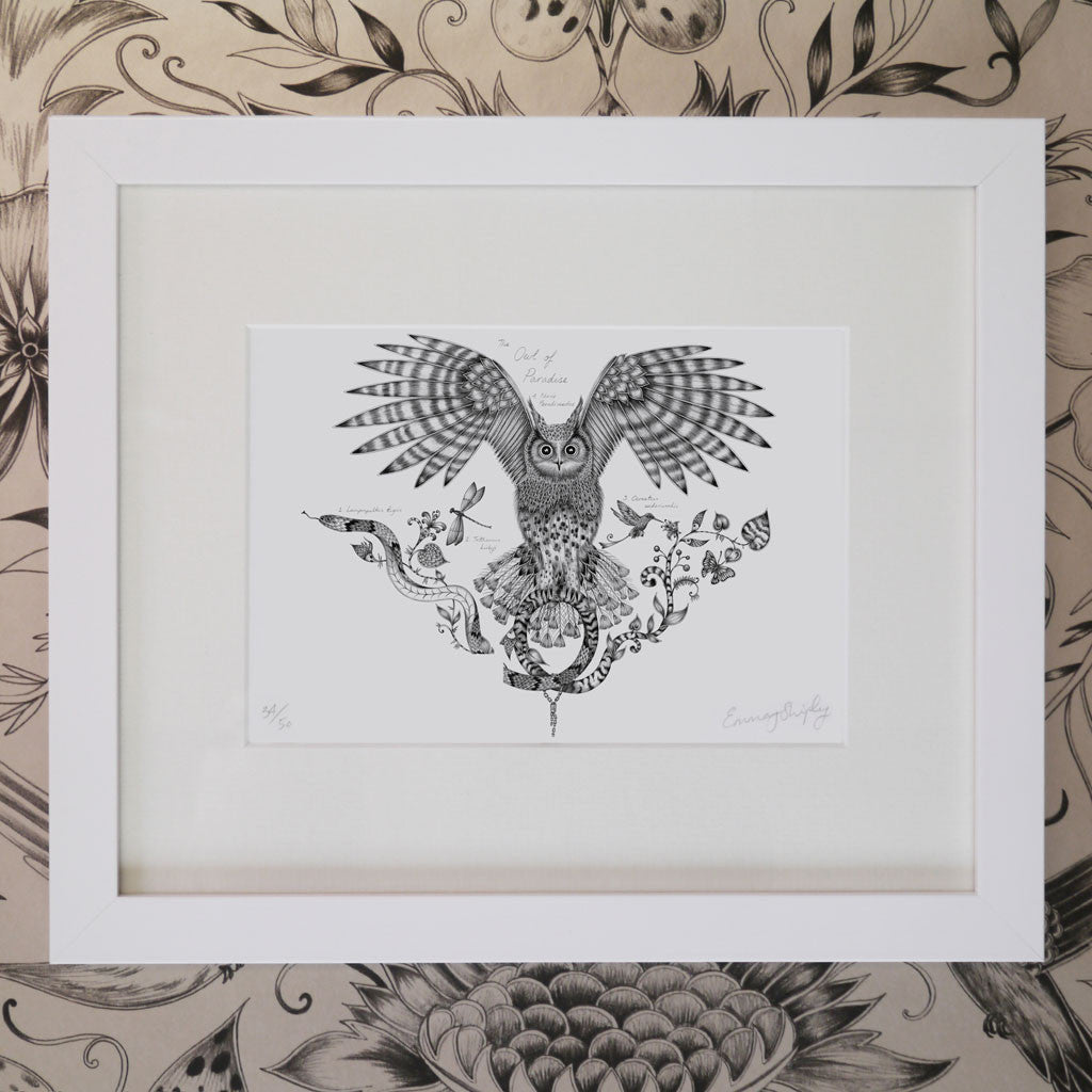 Owl of Paradise Mini Print - White Frame