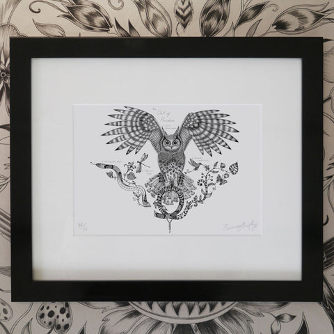 Owl of Paradise Mini Print - Black Frame