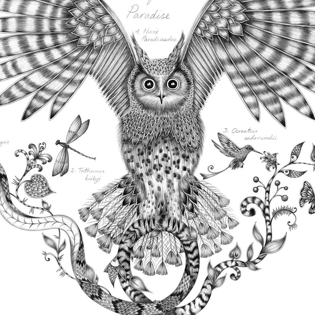 Owl of Paradise Mini Print - Unframed