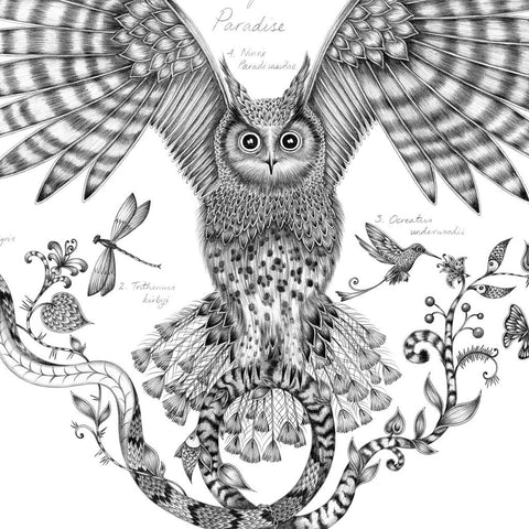 Owl of Paradise Mini Print - Black Frame