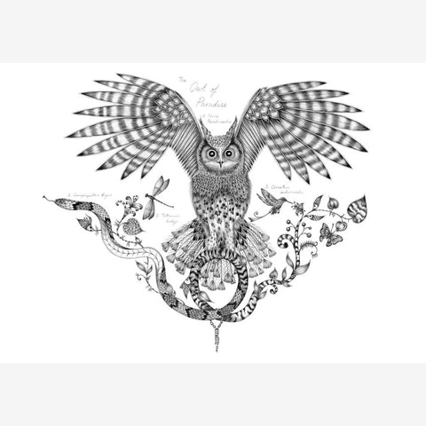 Owl of Paradise Mini Print - Unframed