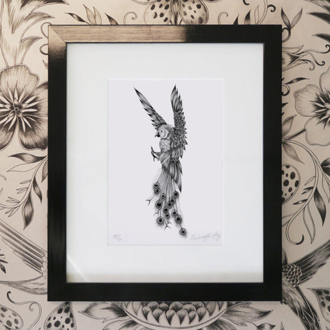 Amazona Cristatus Mini Print - Black Frame