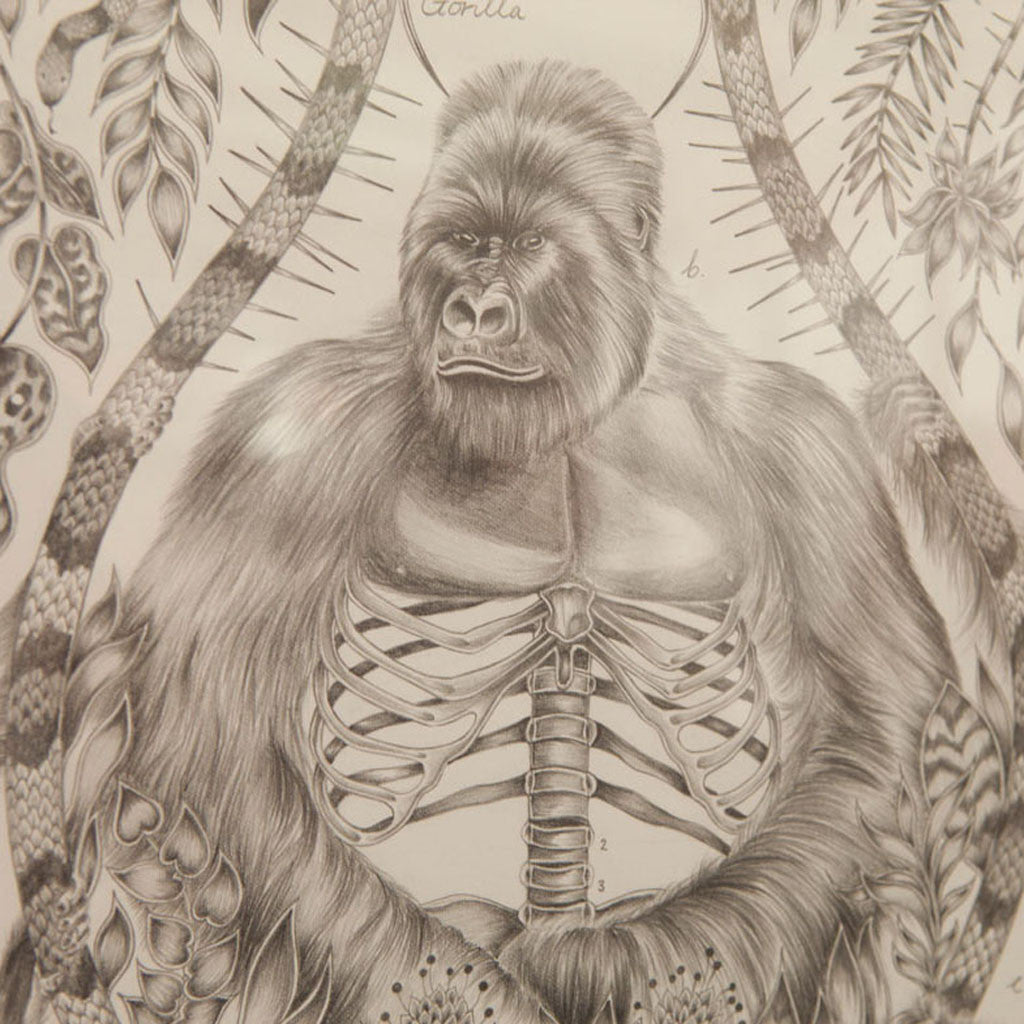 Silverback Cashmere Jacquard Scarf